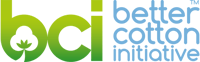 LOGO BCI